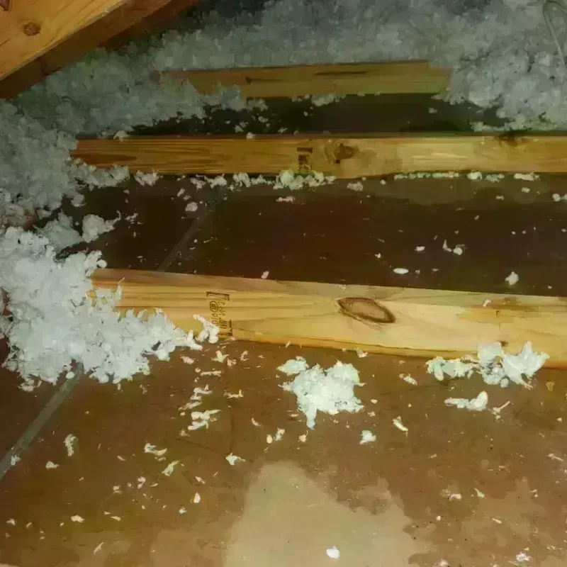 Attic Water Damage in Sonora, CA