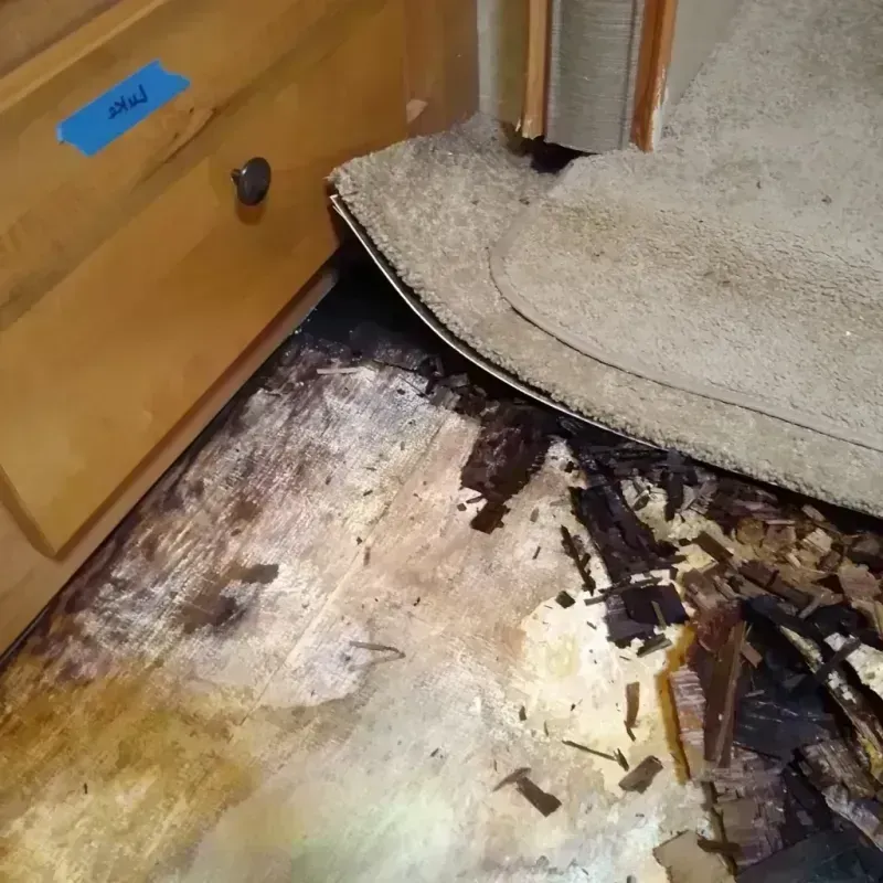 Wood Floor Water Damage in Sonora, CA